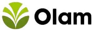 Olam