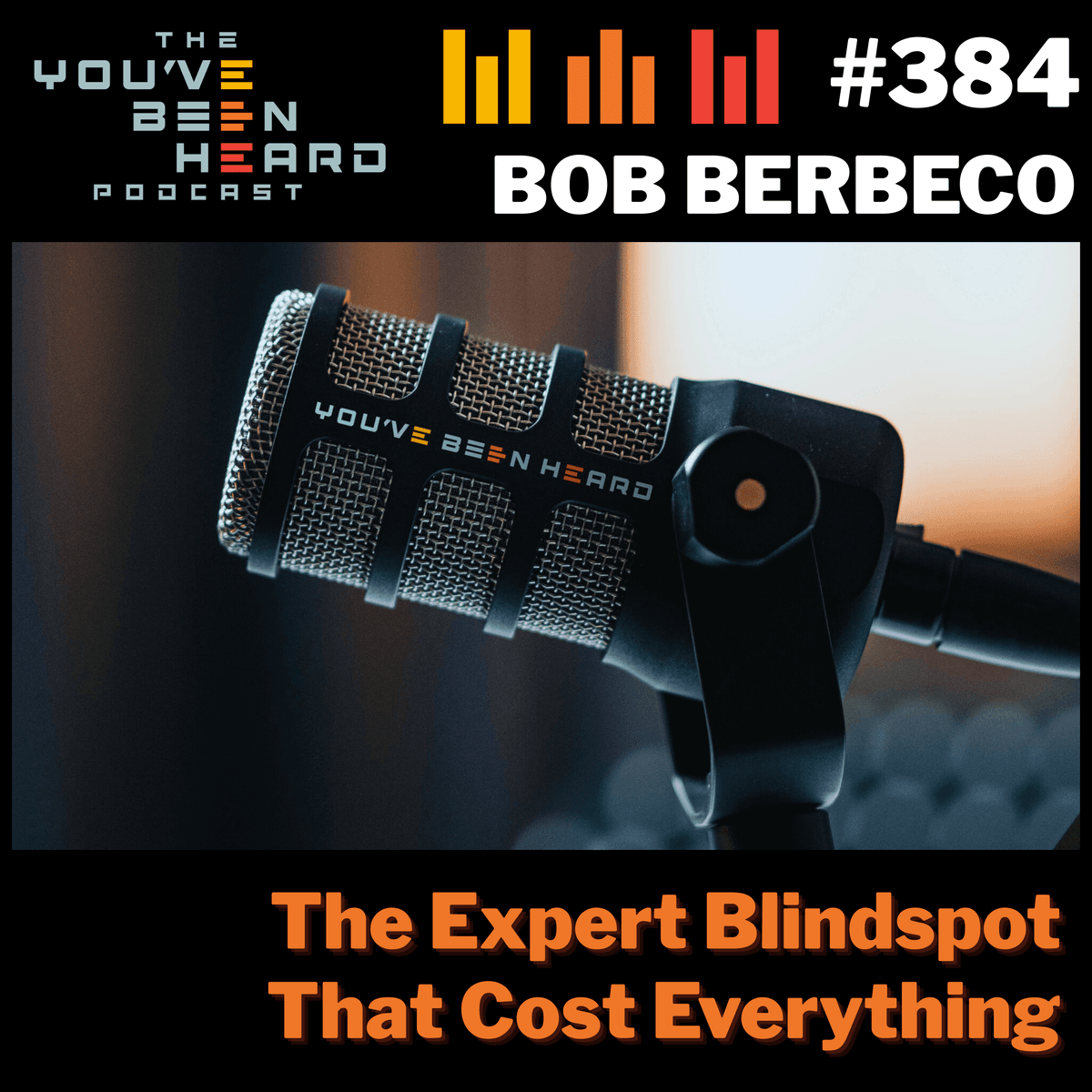 384- The Expert Blindspot That Cost Everything w/Bob Berbeco - You've Been Heard Episode 384