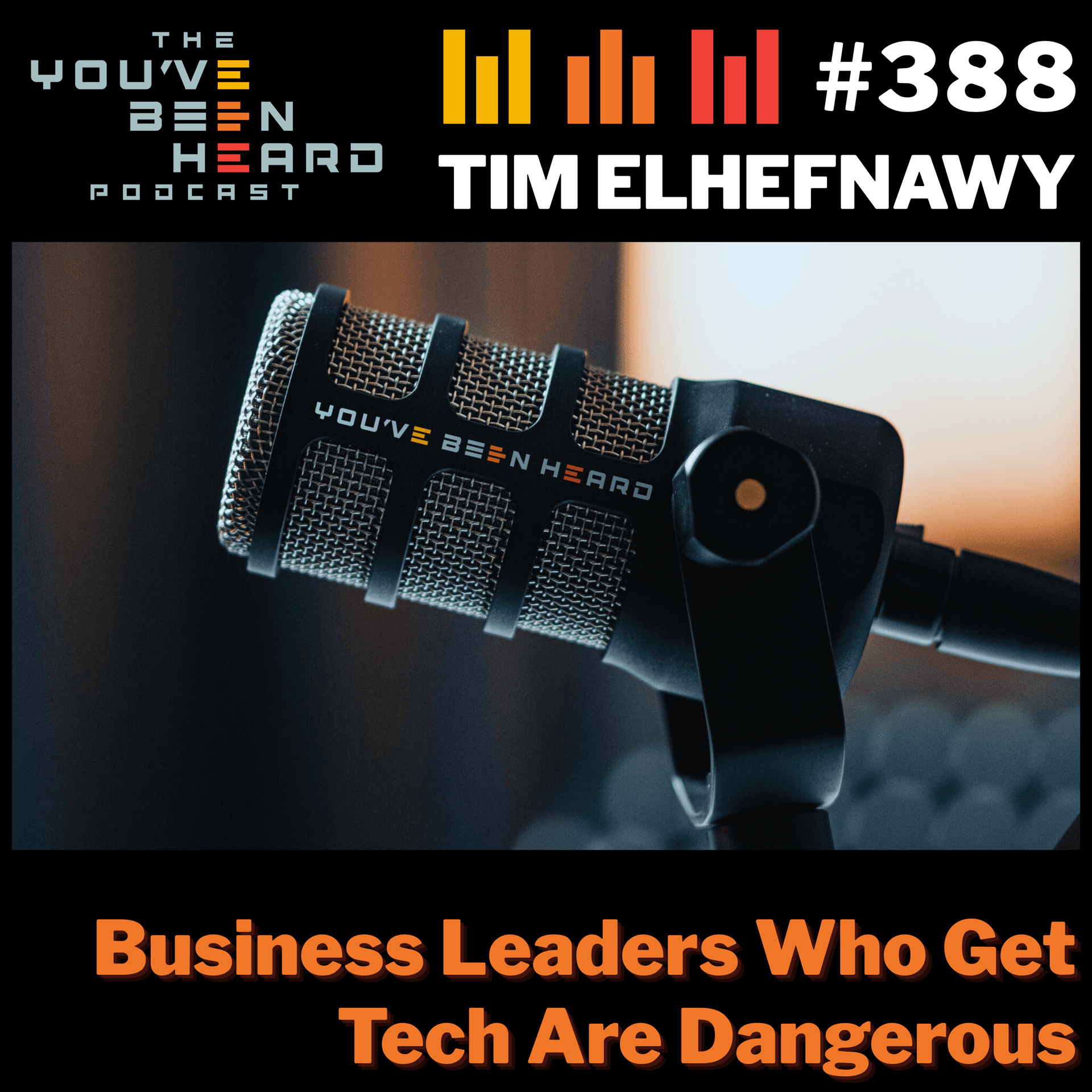388- Business Leaders Who Get Tech Are Dangerous w/Tim Elhefnawy