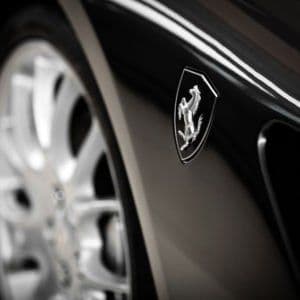 68. The Houston-Italian-Stallion