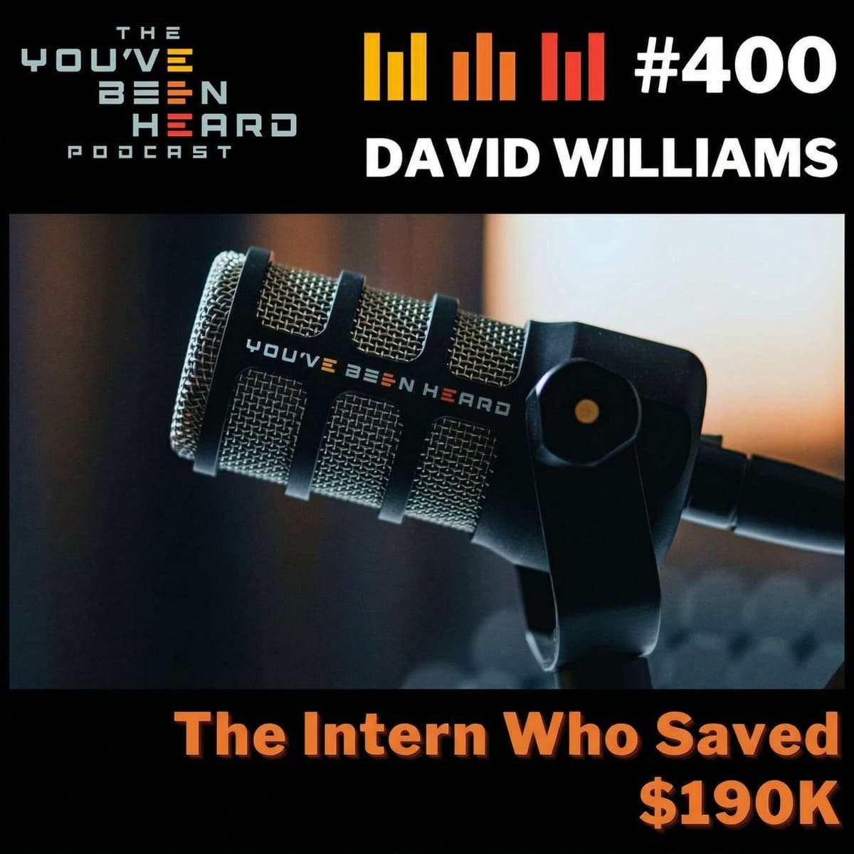 400- The Intern Who Saved $190K w/David Williams - You've Been Heard Episode 400